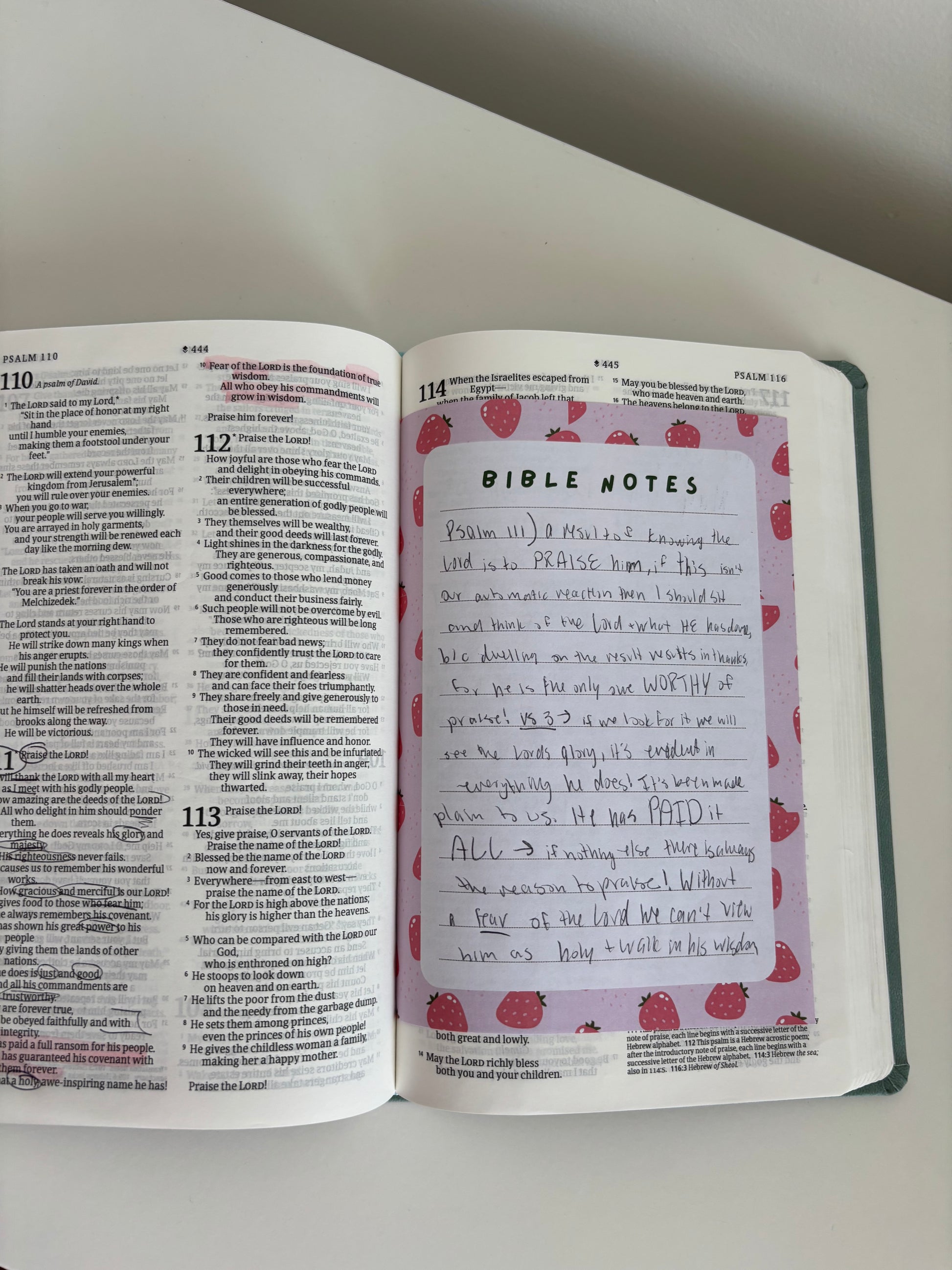 Open Bible with a page titled 'Bible Notes' on a white surface