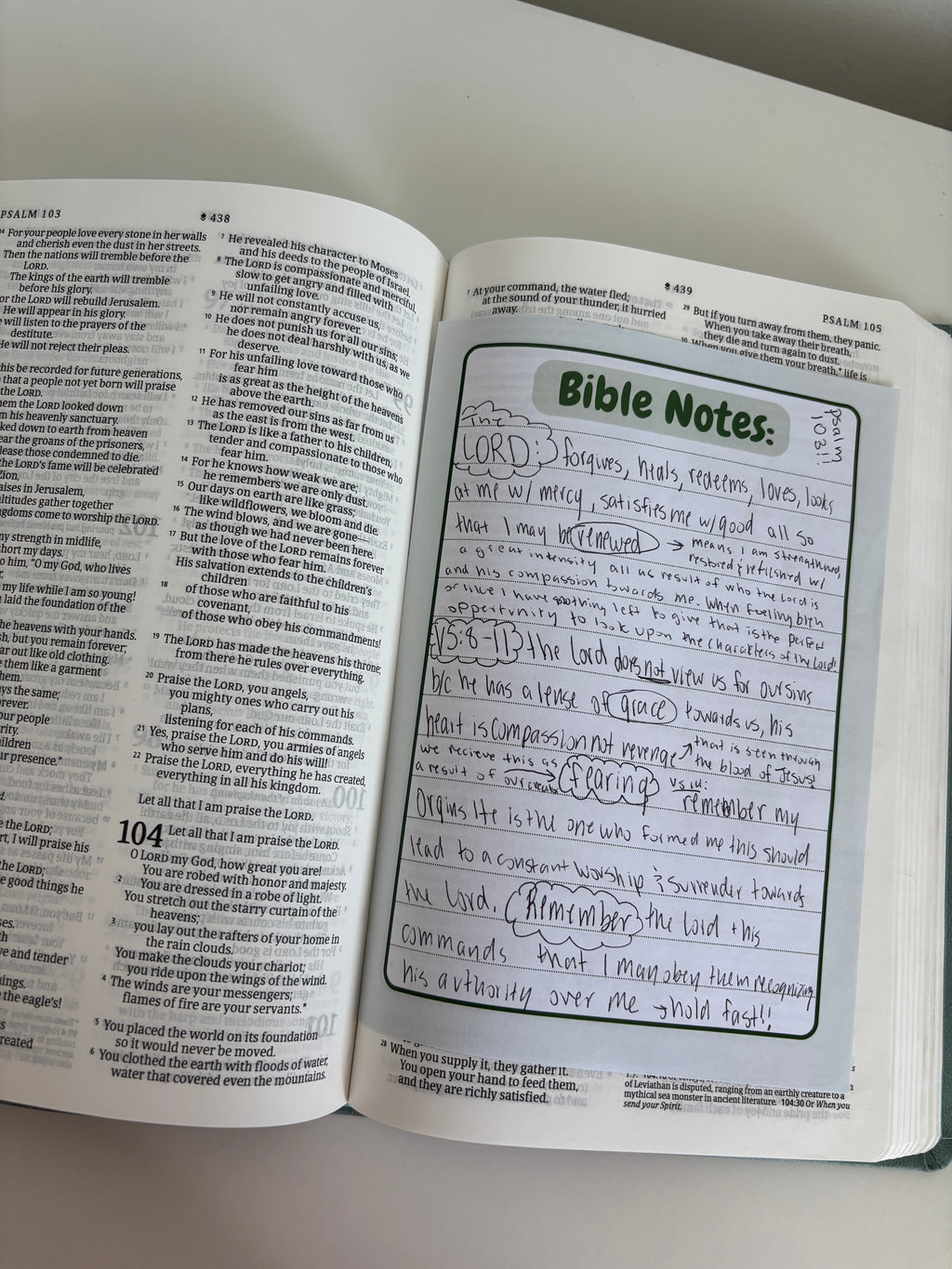 Open book with handwritten notes titled 'Bible Notes' on a white surface.