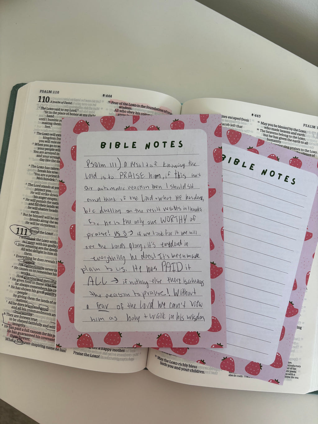 Open Bible with strawberry-themed 'Bible Notes' pages on a white surface.