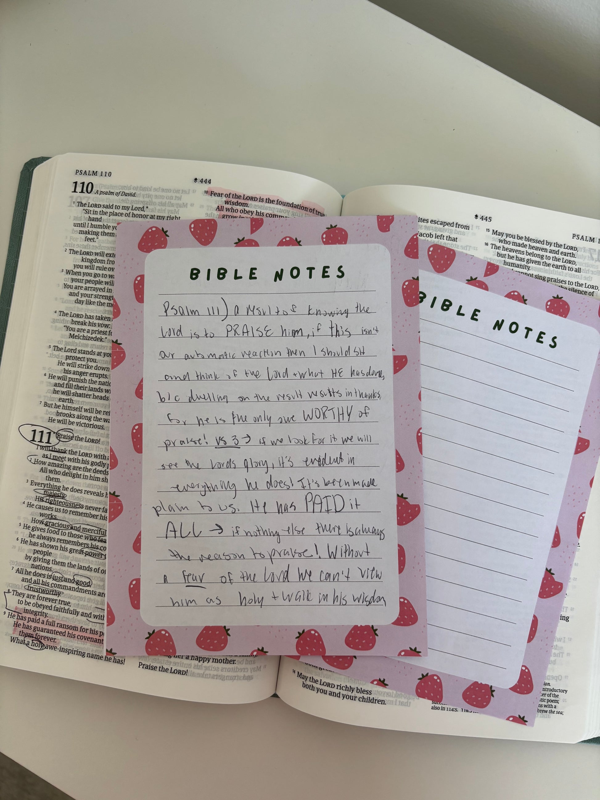 Open Bible with strawberry-themed 'Bible Notes' pages on a white surface.
