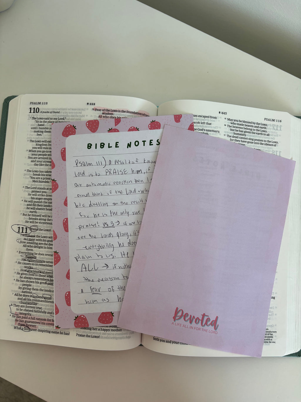 Open book with 'Bible Notes' and 'Devoted' pages on a white surface