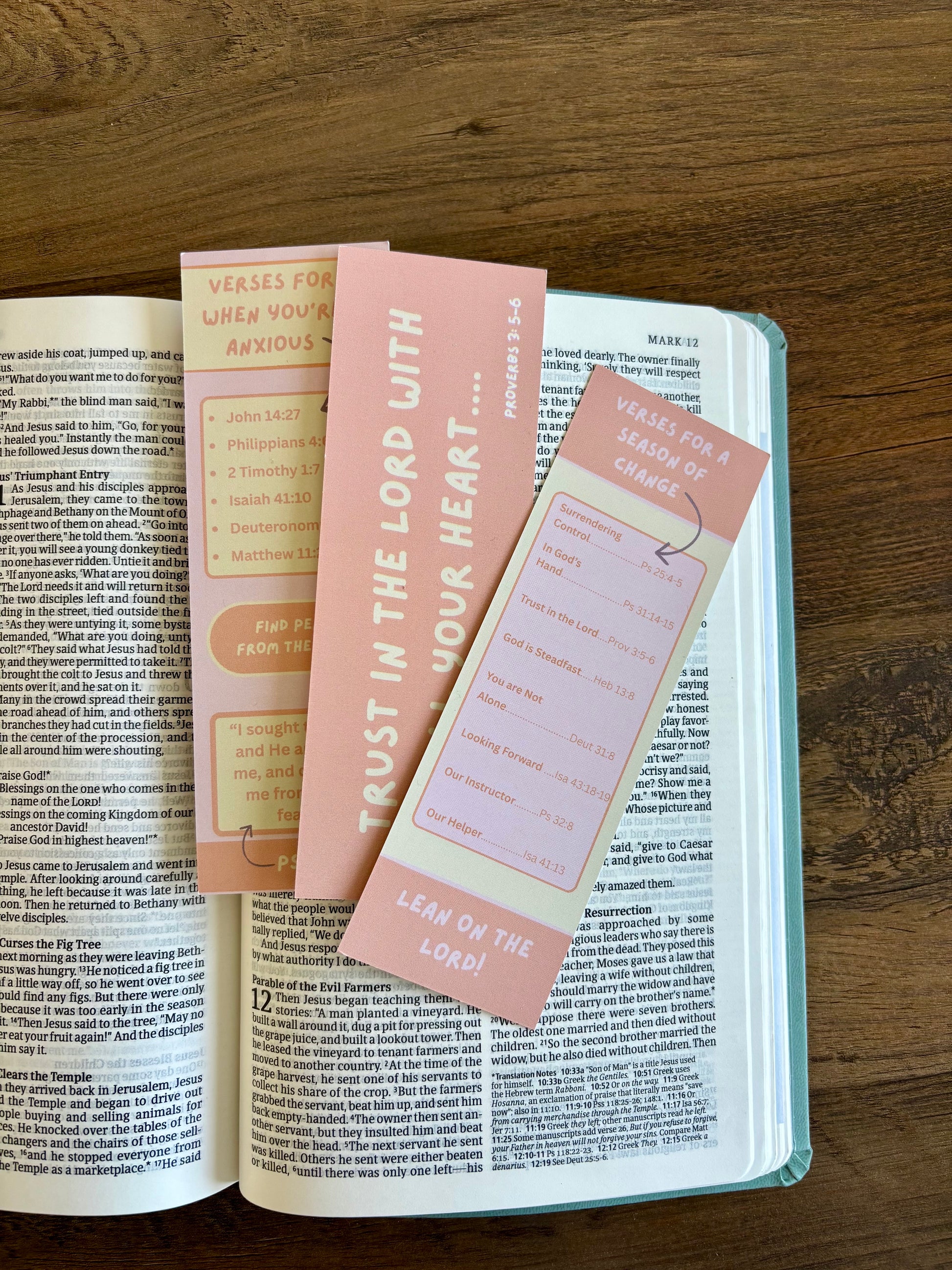 Open book with pink bookmarks on a wooden surface