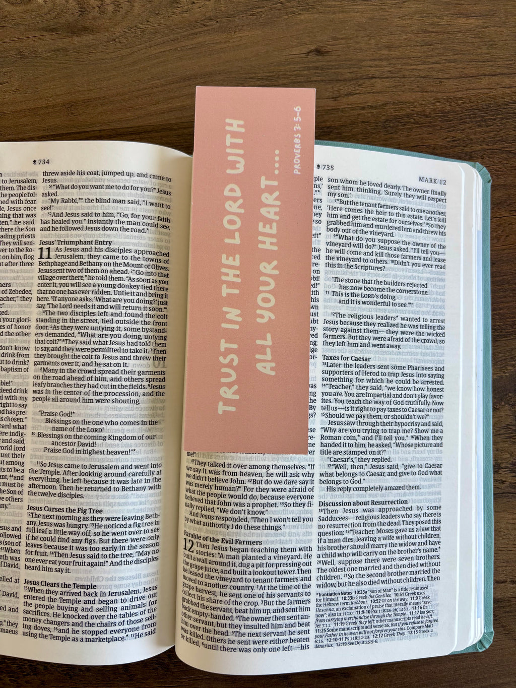 Open book with a pink bookmark inside on a wooden surface