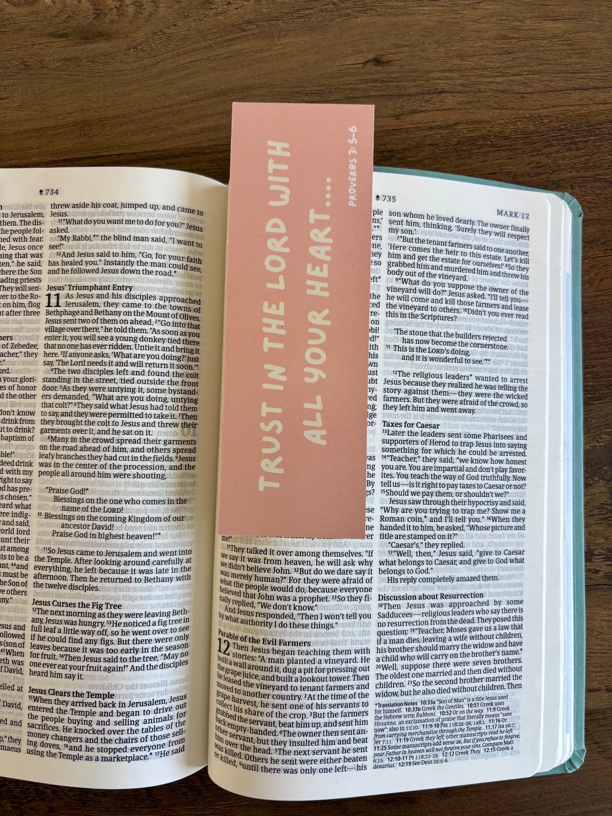 Open book with a pink bookmark inside on a wooden surface