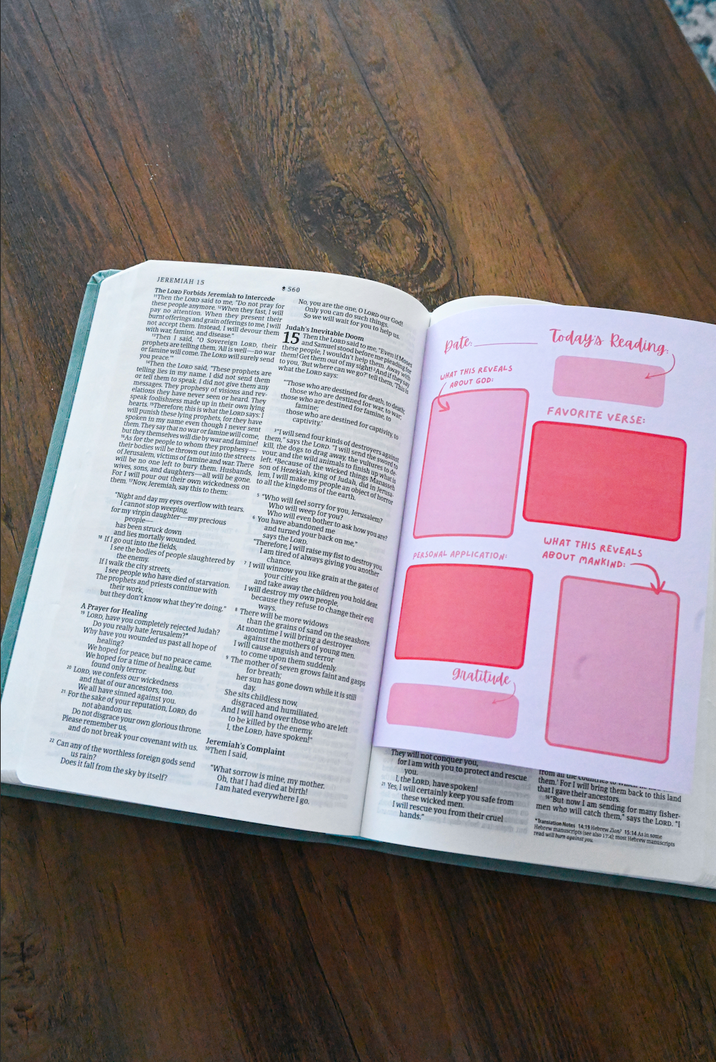 Open book on a wooden surface with text and pink diagrams.